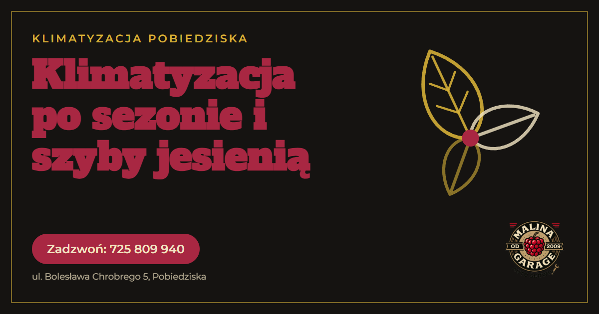Serwis klimatyzacji samochodowej i odgrzybianie jesienią, 8 pytań, Malina Garage Pobiedziska